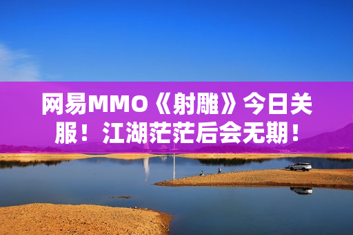 网易MMO《射雕》今日关服！江湖茫茫后会无期！