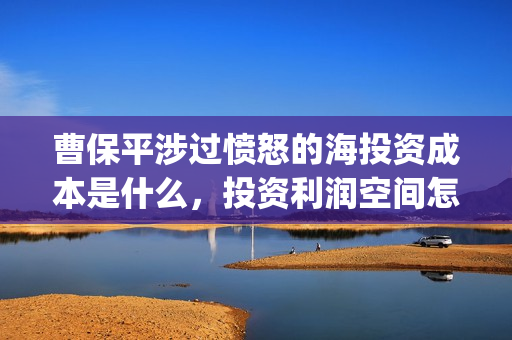 曹保平涉过愤怒的海投资成本是什么，投资利润空间怎么样(曹保平电影作品大全)