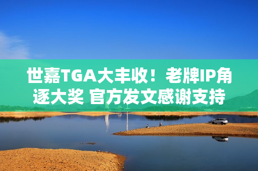 世嘉TGA大丰收!老牌IP角逐大奖 官方发文感谢支持 世嘉TGA大丰收!老牌IP角逐大奖 官方发文感谢支持