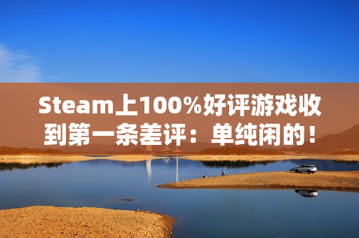 Steam上100%好评游戏收到第一条差评：单纯闲的！
