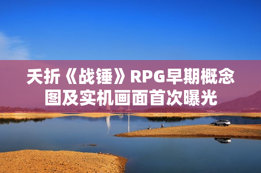 夭折《战锤》RPG早期概念图及实机画面首次曝光