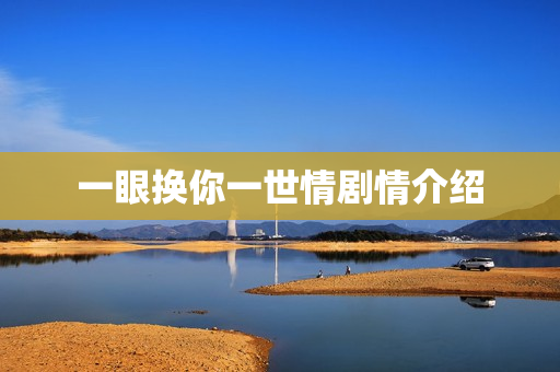 一眼换你一世情剧情介绍