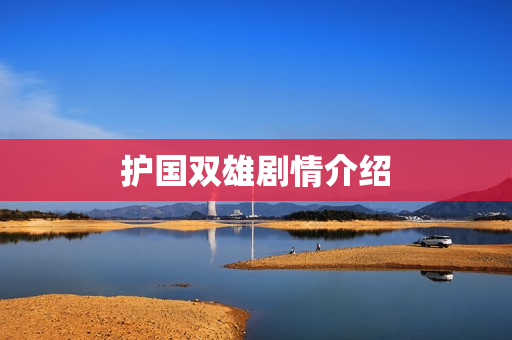 护国双雄剧情介绍