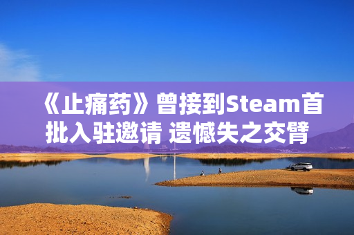 《止痛药》曾接到Steam首批入驻邀请 遗憾失之交臂