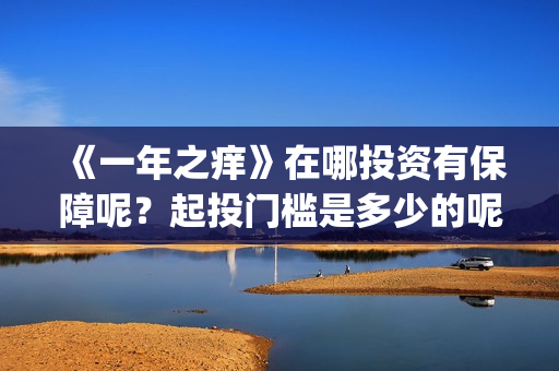 《一年之痒》在哪投资有保障呢？起投门槛是多少的呢？认购份额是真实的吗？(一年之痒观看)