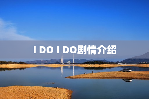 I DO I DO剧情介绍
