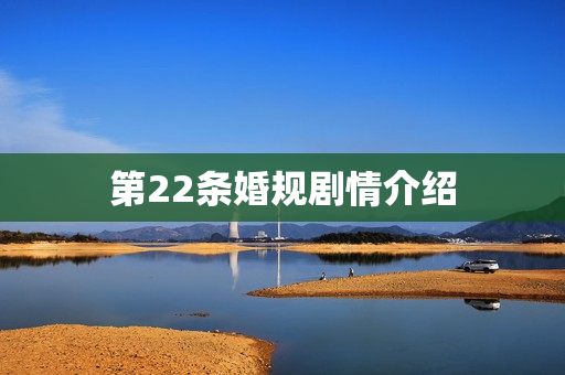 第22条婚规剧情介绍