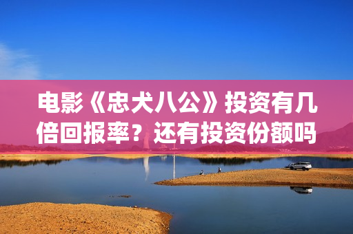 电影《忠犬八公》投资有几倍回报率？还有投资份额吗？(电影《忠犬八公》免费的)
