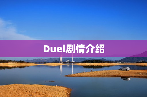 Duel剧情介绍