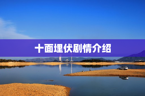 十面埋伏剧情介绍