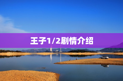 王子1/2剧情介绍