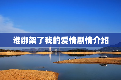 谁绑架了我的爱情剧情介绍