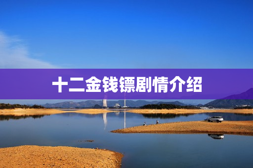 十二金钱镖剧情介绍