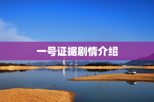 一号证据剧情介绍