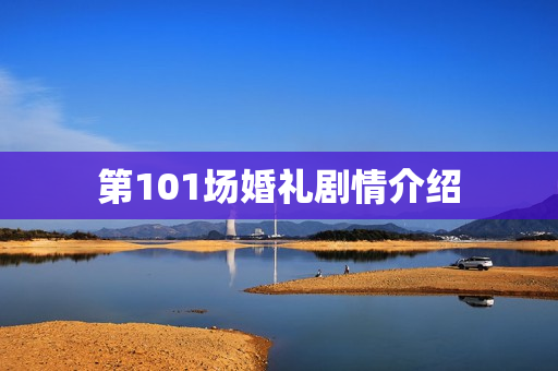 第101场婚礼剧情介绍