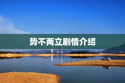 势不两立剧情介绍