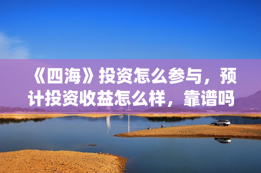 《四海》投资怎么参与，预计投资收益怎么样，靠谱吗？(电影四海投资)