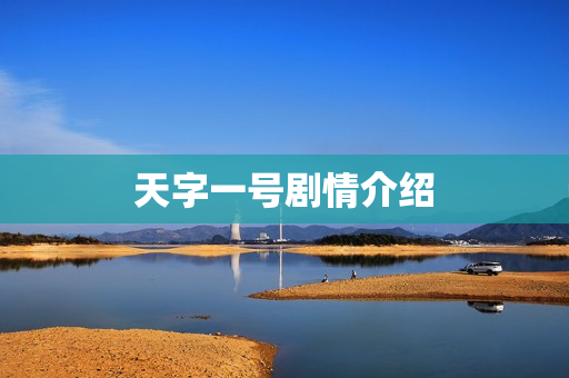 天字一号剧情介绍