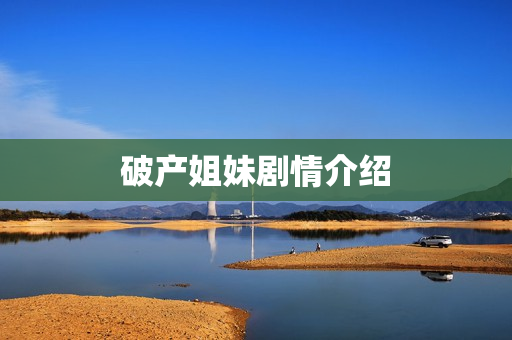 破产姐妹剧情介绍