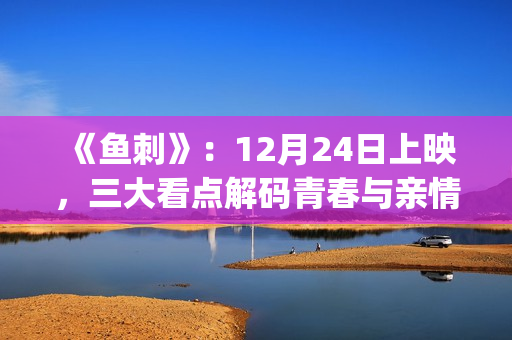 《鱼刺》：12月24日上映，三大看点解码青春与亲情的羁绊(帮我找一下鱼刺)