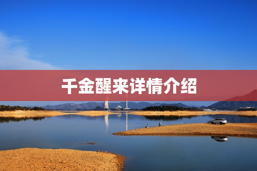 千金醒来详情介绍