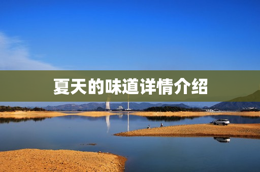 夏天的味道详情介绍