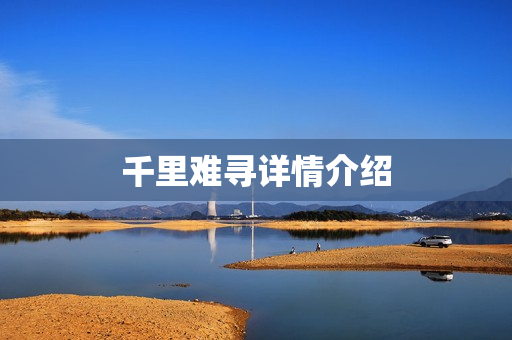 千里难寻详情介绍