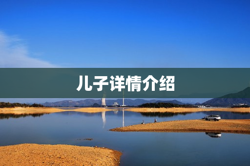 儿子详情介绍