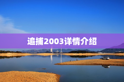 追捕2003详情介绍