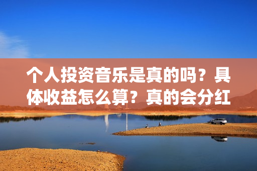 个人投资音乐是真的吗？具体收益怎么算？真的会分红吗？(个人投资音乐是做什么的)