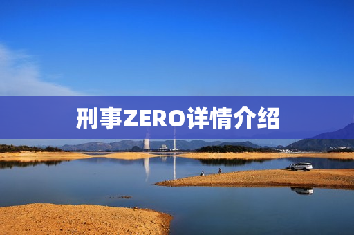 刑事ZERO详情介绍