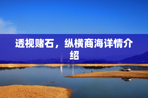 透视赌石，纵横商海详情介绍