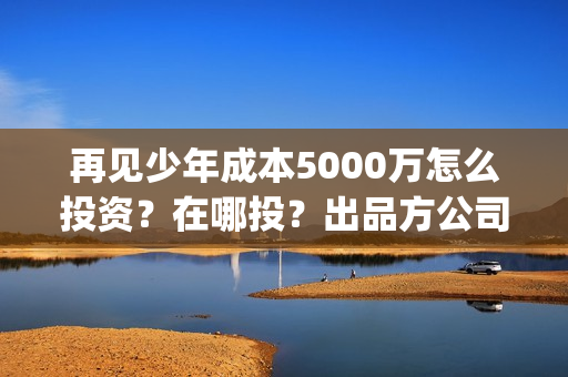再见少年成本5000万怎么投资？在哪投？出品方公司怎么样？(再见少年解读)