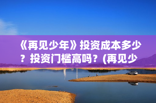 《再见少年》投资成本多少？投资门槛高吗？(再见少年个人投资真实吗)