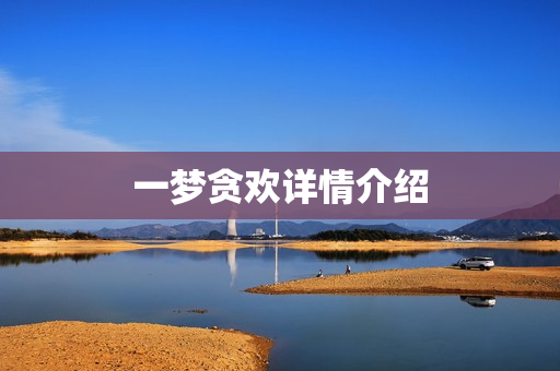 一梦贪欢详情介绍