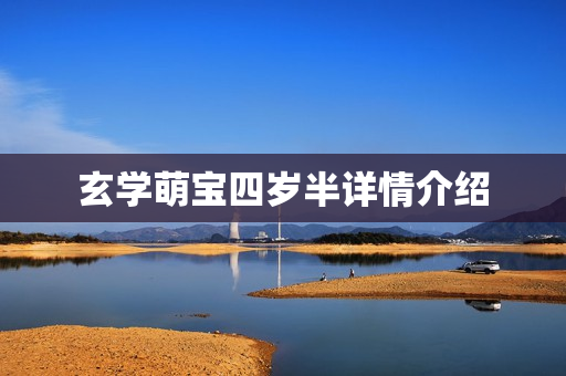 玄学萌宝四岁半详情介绍