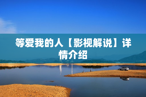 等爱我的人【影视解说】详情介绍