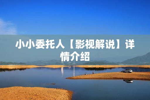 小小委托人【影视解说】详情介绍