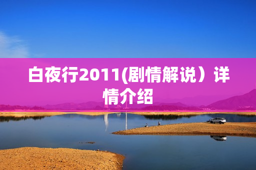 白夜行2011(剧情解说）详情介绍