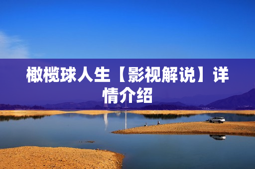 橄榄球人生【影视解说】详情介绍