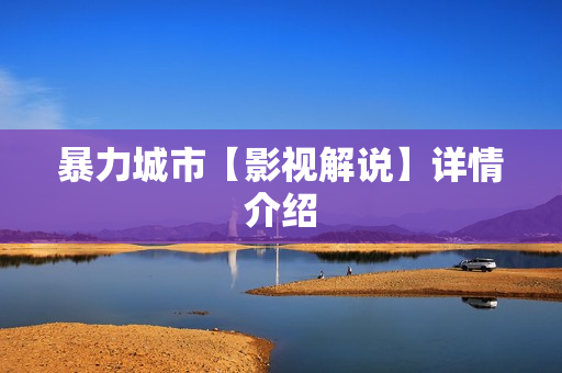 暴力城市【影视解说】详情介绍