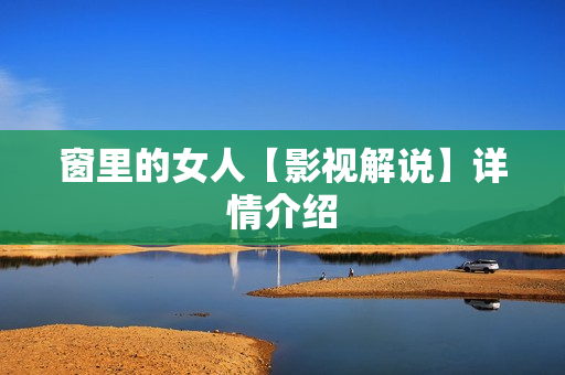 窗里的女人【影视解说】详情介绍