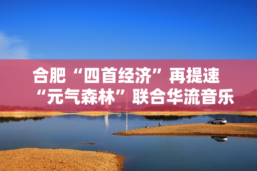 合肥“四首经济”再提速 “元气森林”联合华流音乐集团打造青年空间首店落户