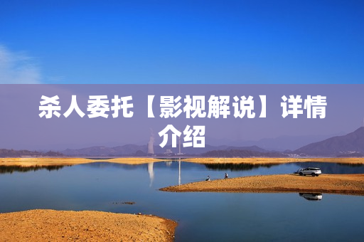 杀人委托【影视解说】详情介绍