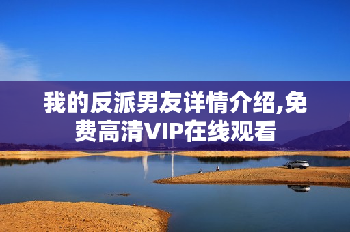 我的反派男友详情介绍,免费高清VIP在线观看