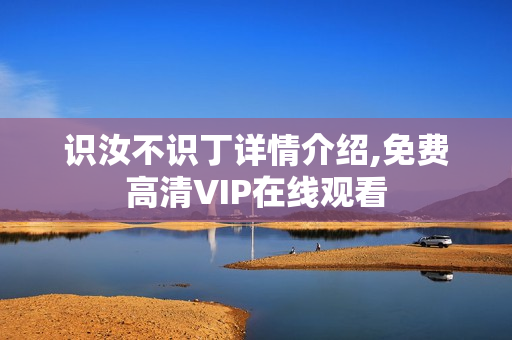 识汝不识丁详情介绍,免费高清VIP在线观看