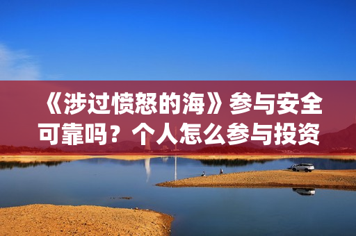 《涉过愤怒的海》参与安全可靠吗？个人怎么参与投资？(涉过愤怒的海事件原型)