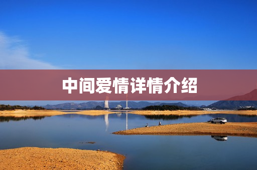中间爱情详情介绍