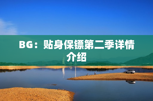 BG：贴身保镖第二季详情介绍
