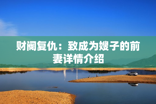 财阀复仇：致成为嫂子的前妻详情介绍